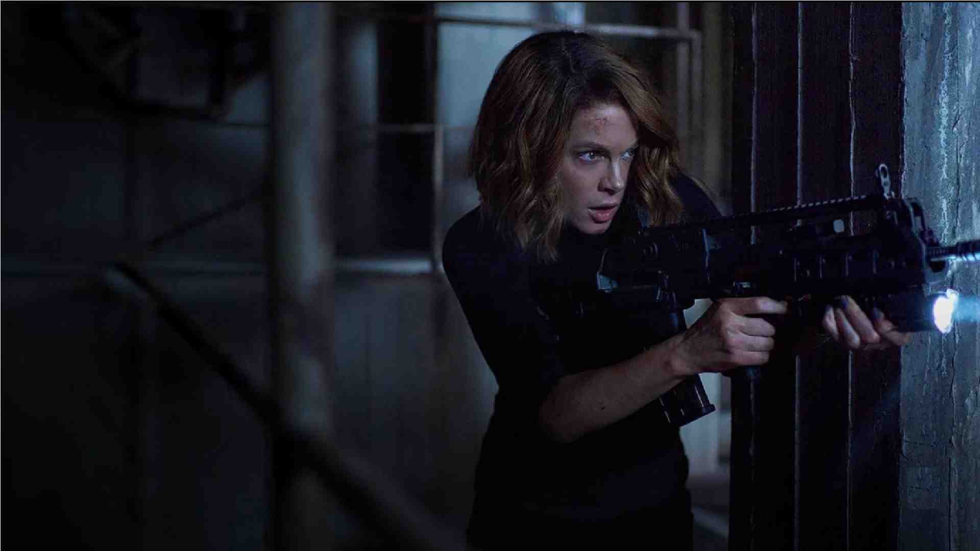 Canary Black-سیاه‌مرغ زرد